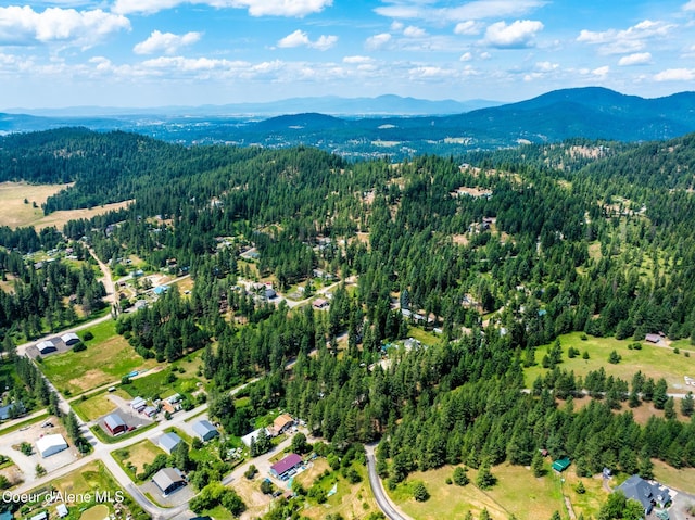 NKA Goldrush Rd, Coeur Dalene, ID 83814 - photo 33