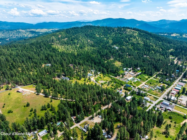 NKA Goldrush Rd, Coeur Dalene, ID 83814 - photo 34