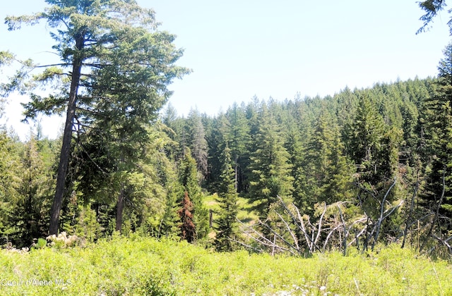 NKA Foote Rd, Tensed, ID 83870 - photo 3