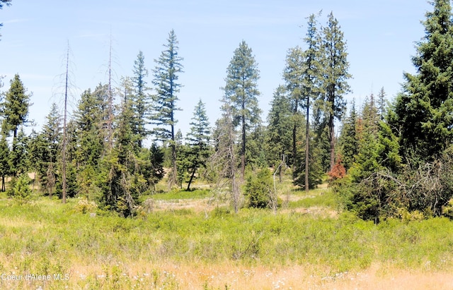 NKA Foote Rd, Tensed, ID 83870 - photo 5