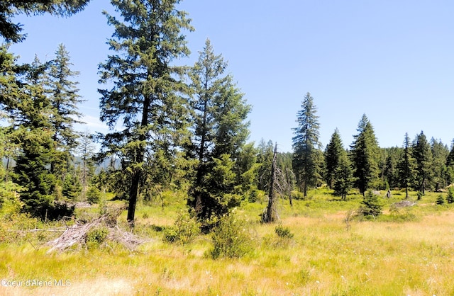 NKA Foote Rd, Tensed, ID 83870 - photo 8