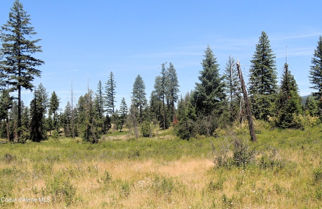 NKA Foote Rd, Tensed, ID 83870 - photo 9