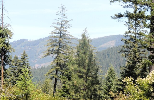 NKA Foote Rd, Tensed, ID 83870 - photo 10