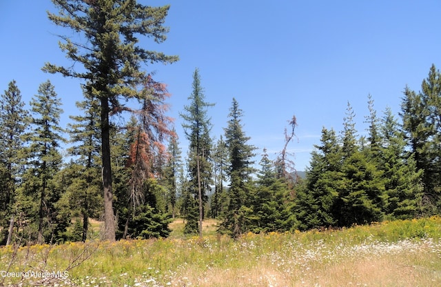 NKA Foote Rd, Tensed, ID 83870 - photo 15