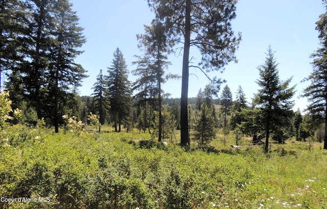 NKA Foote Rd, Tensed, ID 83870 - photo 16