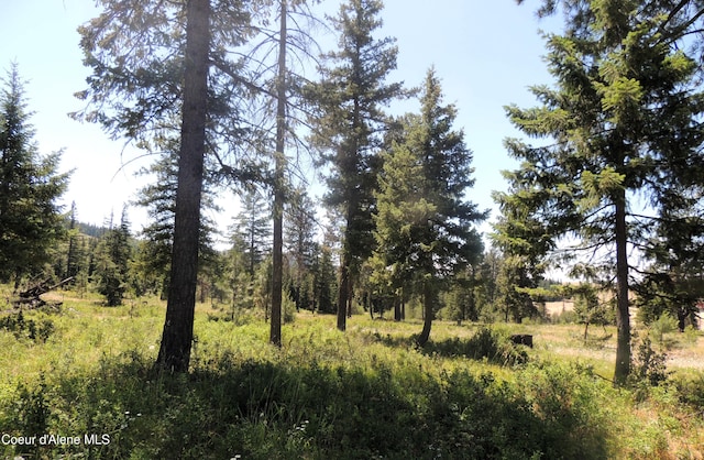 NKA Foote Rd, Tensed, ID 83870 - photo 17