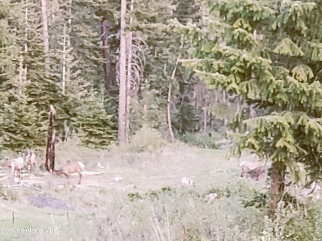NKA Foote Rd, Tensed, ID 83870 - photo 25