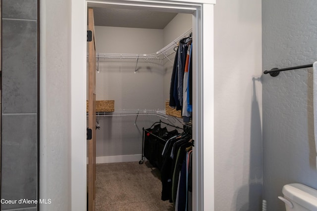23426 N Massif Rd, Rathdrum, ID 83858 - walk in closet featuring carpet floors