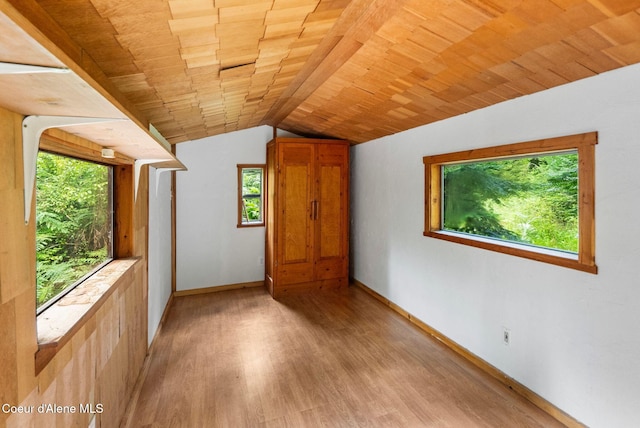 1053 Upper Pack River Rd, Sandpoint, ID 83864 - unfurnished room featuring light wood-type flooring, lofted ceiling, and wooden ceiling