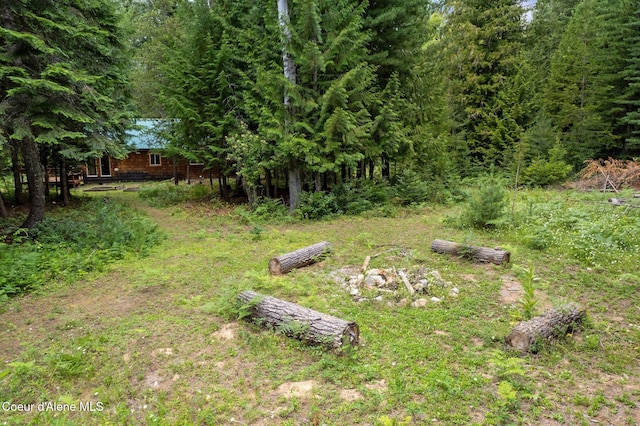 1053 Upper Pack River Rd, Sandpoint, ID 83864 - view of yard