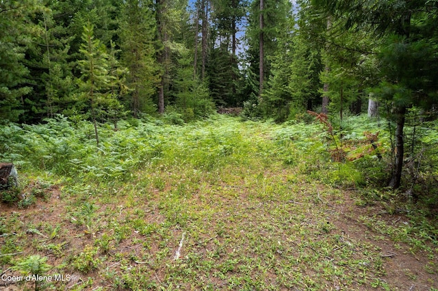 1053 Upper Pack River Rd, Sandpoint, ID 83864 - view of tree filled area