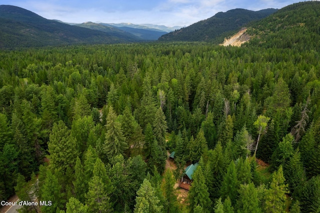 1053 Upper Pack River Rd, Sandpoint, ID 83864 - view of mountain backdrop featuring a heavily wooded area