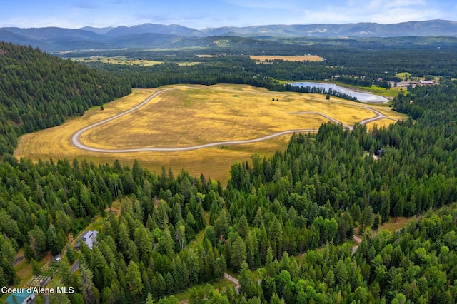 1053 Upper Pack River Rd, Sandpoint, ID 83864 - bird's eye view of a heavily wooded area and a water and mountain view