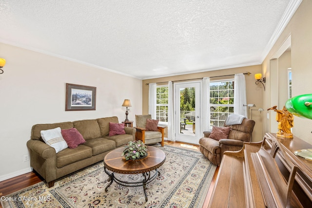 5570 E Shoreline Dr, Post Falls, ID 83854 - living area featuring a textured ceiling, wood finished floors, and ornamental molding