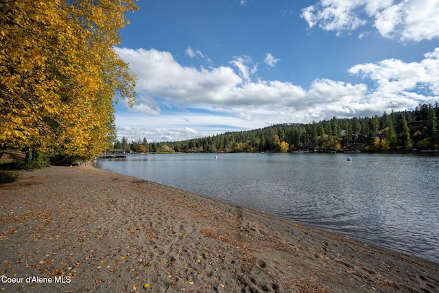 5570 E Shoreline Dr, Post Falls, ID 83854 - water view with a forest
