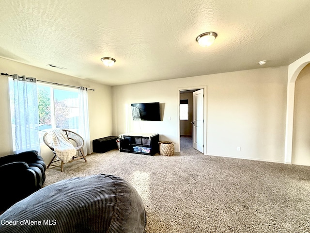 2699 E Thrush Dr, Post Falls, ID 83854 - living area with carpet, arched walkways, and a textured ceiling