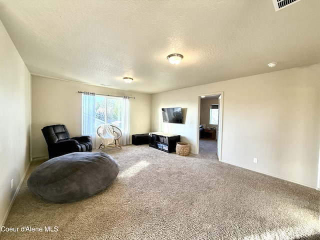 2699 E Thrush Dr, Post Falls, ID 83854 - living area with carpet flooring and a textured ceiling