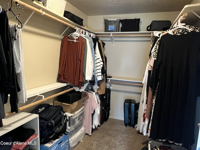 2699 E Thrush Dr, Post Falls, ID 83854 - walk in closet featuring carpet floors