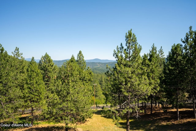 4865 S Greensferry Rd, Coeur Dalene, ID 83814 - photo 43