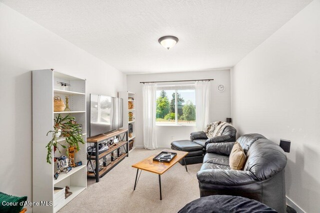 1839 N Skagit Dr, Post Falls, ID 83854 - living area with carpet floors and a textured ceiling