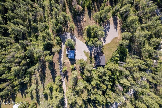28729 Ramsey Rd, Athol, ID 83801 - aerial view of property and surrounding area