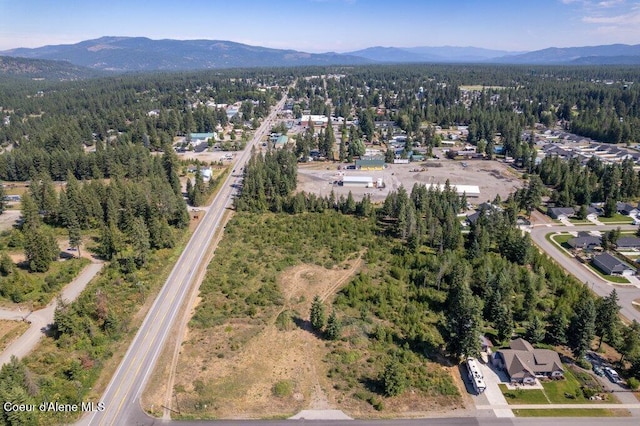 NNA Highway 41, Spirit Lake, ID 83869