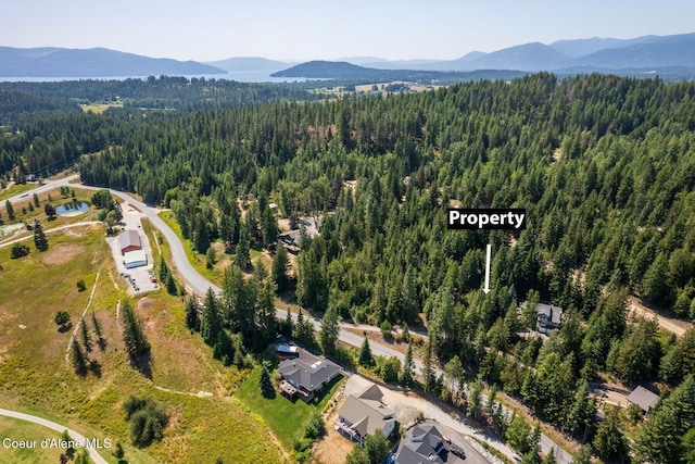 LOT2 Lower Pack River Rd, Sandpoint, ID 83864