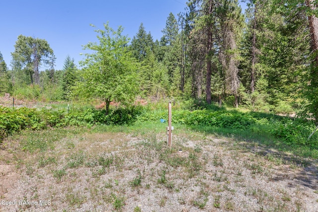784 Twin Rivers Rd, Athol, ID 83801 - view of yard featuring a view of trees