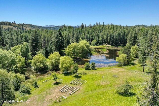 784 Twin Rivers Rd, Athol, ID 83801 - drone / aerial view of a water and mountain view and a forest