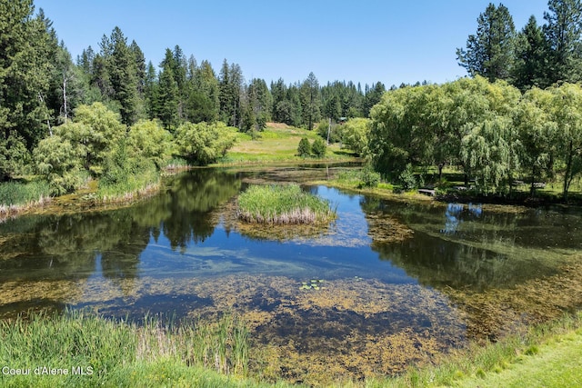 784 Twin Rivers Rd, Athol, ID 83801 - water view with a forest