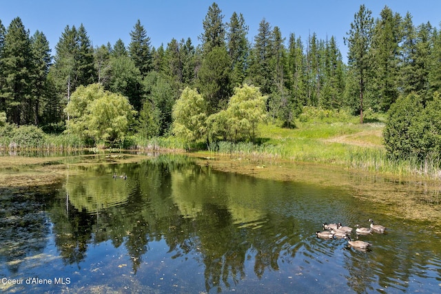 784 Twin Rivers Rd, Athol, ID 83801 - water view featuring a forest