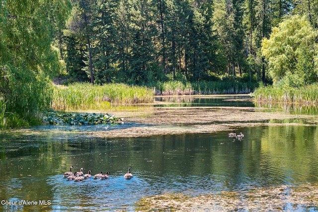 784 Twin Rivers Rd, Athol, ID 83801 - water view with a heavily wooded area