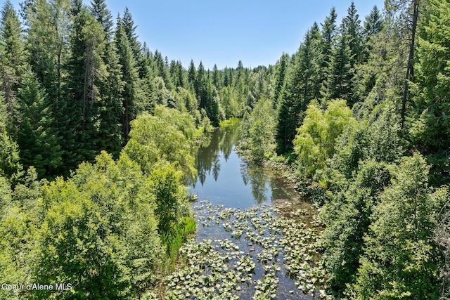 784 Twin Rivers Rd, Athol, ID 83801 - water view with a heavily wooded area
