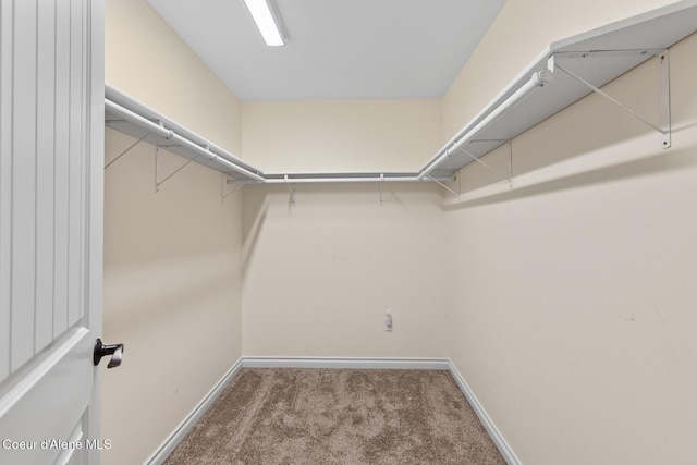 2042 W Heavenly Star Ct, Post Falls, ID 83854 - walk in closet with carpet floors
