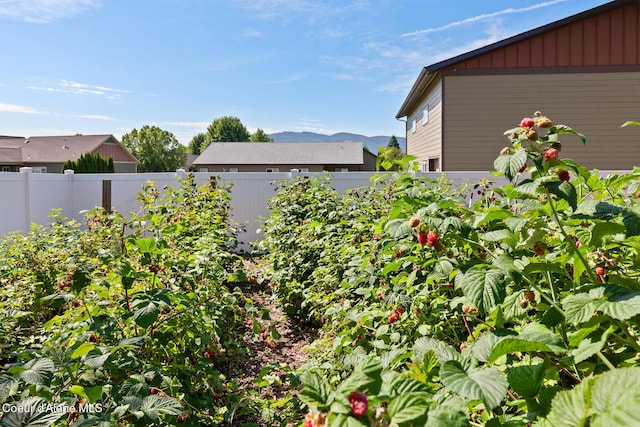 2042 W Heavenly Star Ct, Post Falls, ID 83854 - view of yard