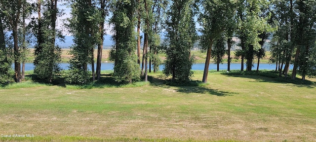 1168 Shire Ln, Bonners Ferry, ID 83805 - photo 9