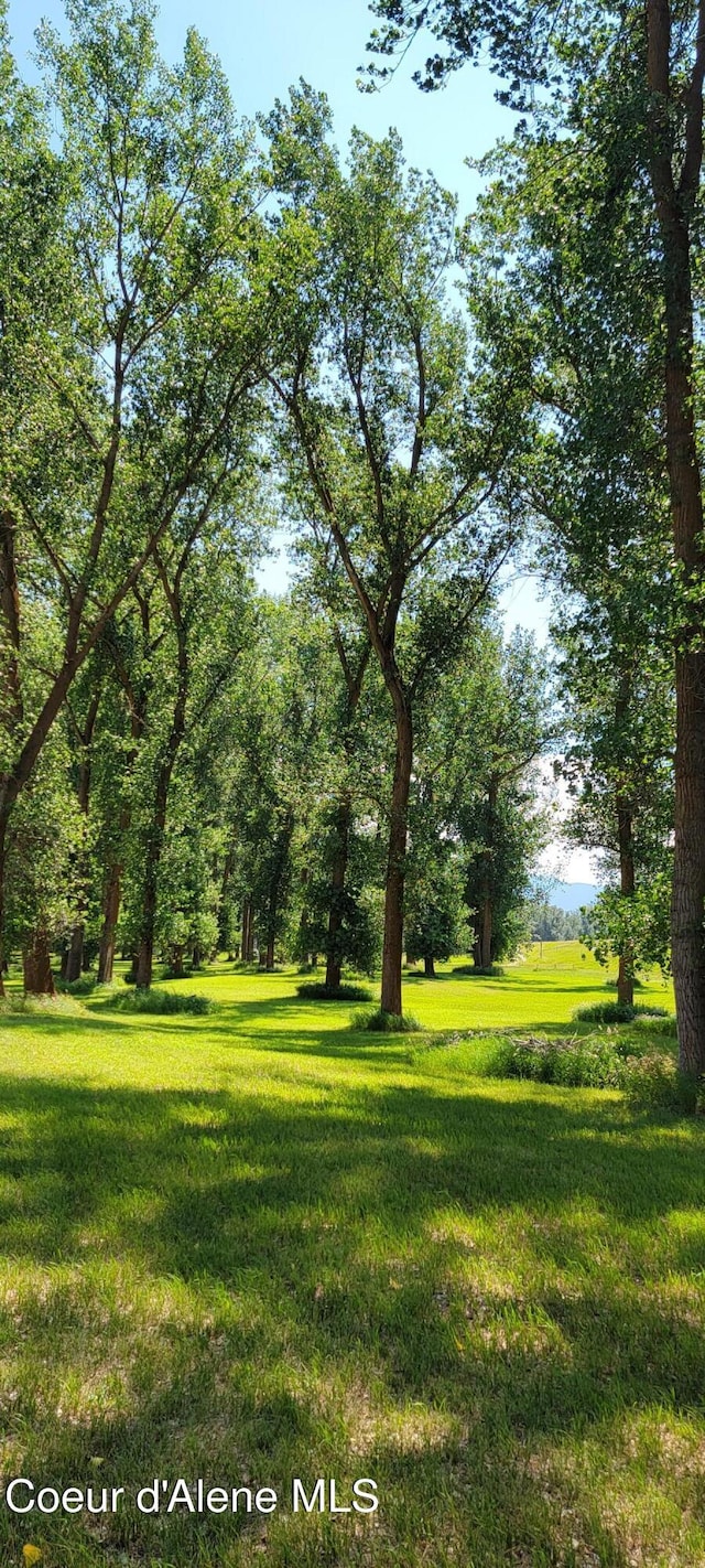1168 Shire Ln, Bonners Ferry, ID 83805 - photo 17