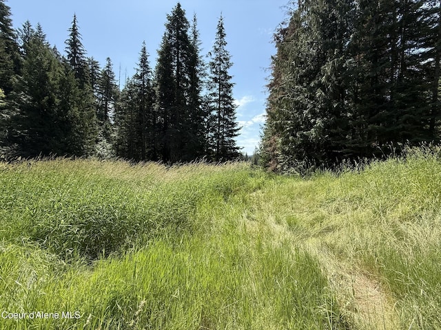 467 Dusty Ln, Saint Maries, ID 83861 - photo 20