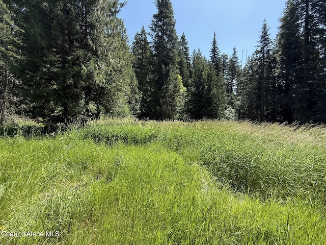 467 Dusty Ln, Saint Maries, ID 83861 - photo 21