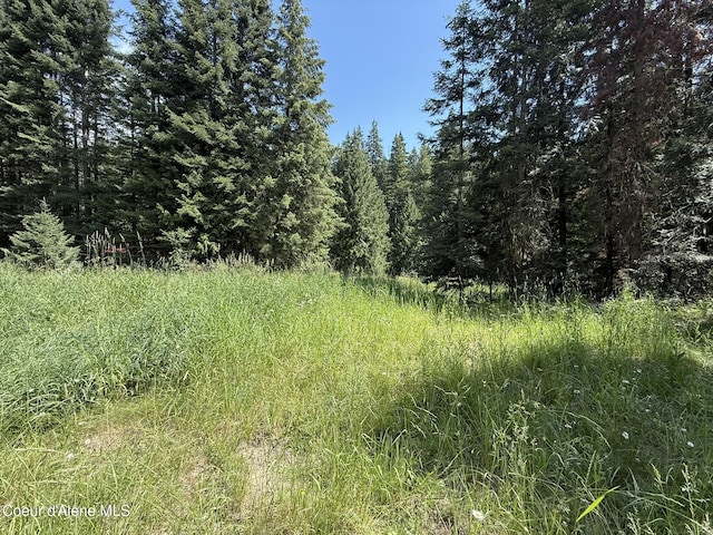 467 Dusty Ln, Saint Maries, ID 83861 - photo 23