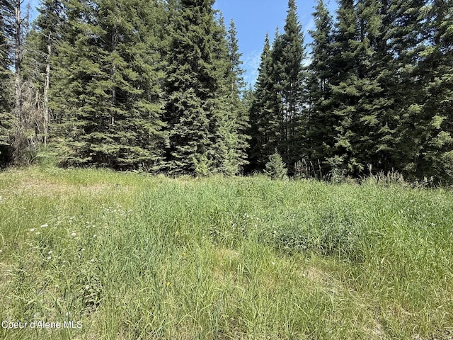 467 Dusty Ln, Saint Maries, ID 83861 - photo 24