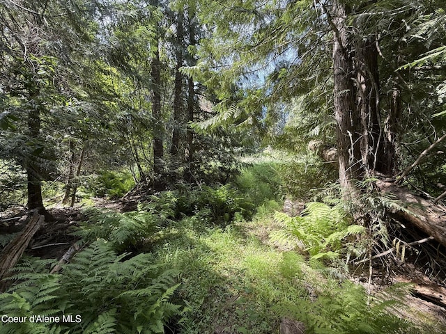 467 Dusty Ln, Saint Maries, ID 83861 - photo 29