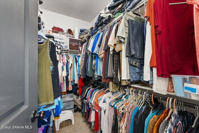 2636 N Wrenley Ln, Post Falls, ID 83854 - walk in closet with carpet flooring