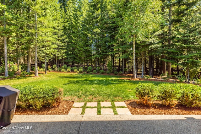 12500 N Partridge Way, Hayden, ID 83835 - view of green lawn