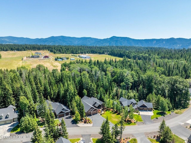 12500 N Partridge Way, Hayden, ID 83835 - bird's eye view of a mountainous background