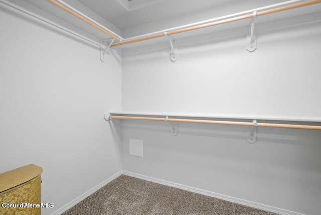 21714 S Lakeview Dr, Worley, ID 83876 - spacious closet with carpet floors