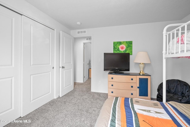 21714 S Lakeview Dr, Worley, ID 83876 - bedroom with carpet floors and a closet
