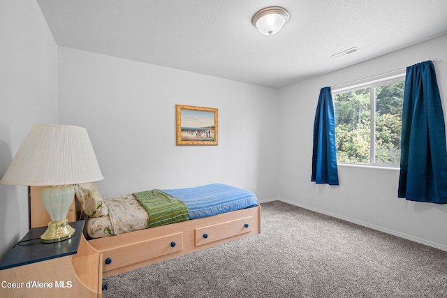 21714 S Lakeview Dr, Worley, ID 83876 - bedroom with carpet floors and baseboards