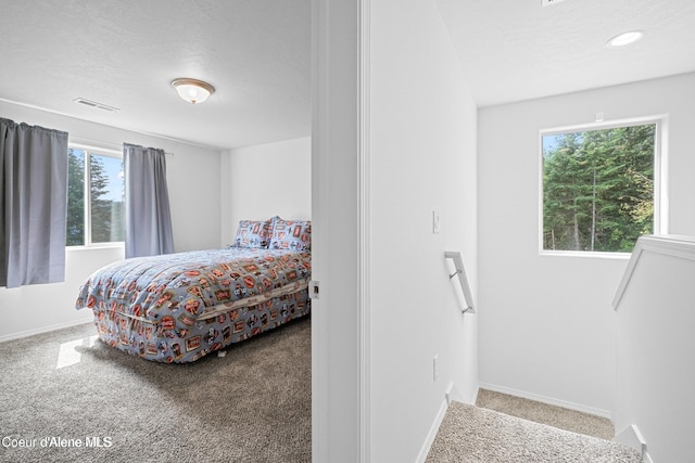 21714 S Lakeview Dr, Worley, ID 83876 - carpeted bedroom with multiple windows, recessed lighting, and a textured ceiling