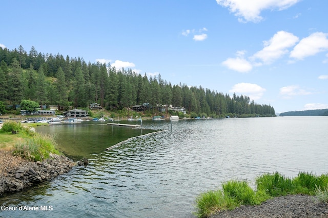 21714 S Lakeview Dr, Worley, ID 83876 - water view featuring a heavily wooded area